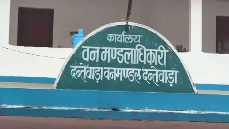 इंस्टाग्राम रील ने खोली शिकारी की पोल : दंतेवाड़ा में 9 दुर्लभ विशाल गिलहरियों के शिकार का खुलासा, आरोपी गिरफ्तार